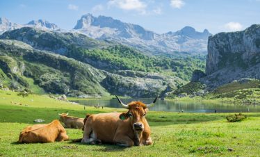 Cantabria Asturias