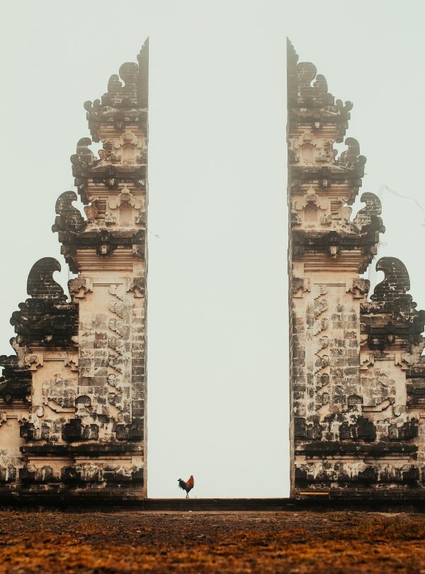 adam-wilson-J87fwyRrWaM-unsplash