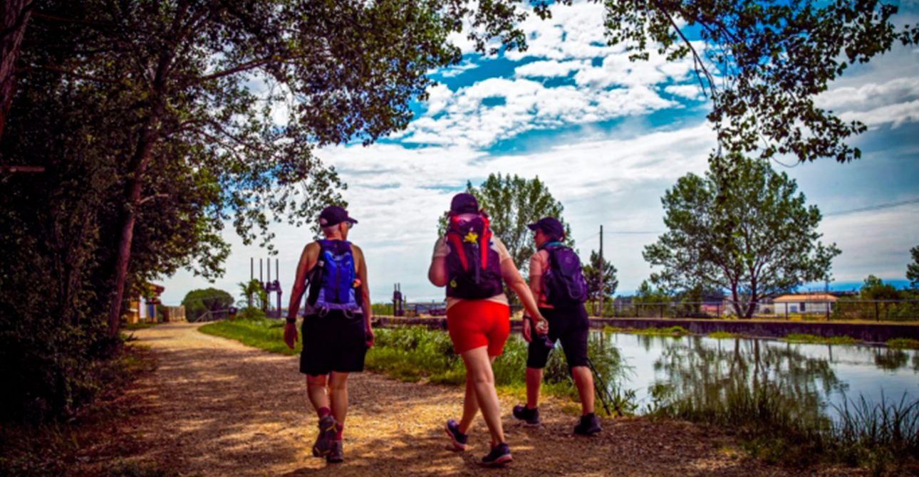 Prepárate para tu primer viaje con maletea