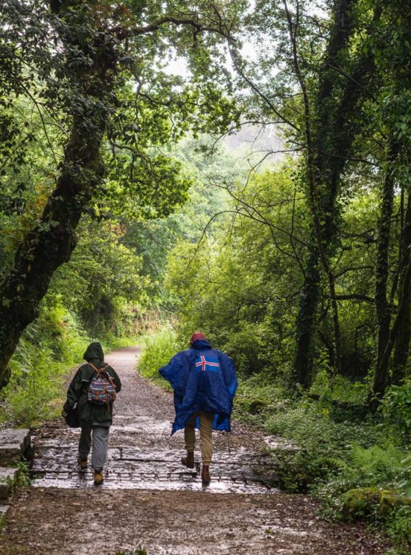 gr-cms-media-featured_images-none-ce445d2f-7084-48a5-8d9a-e7ed941ee285-batch2_187_dsc8552