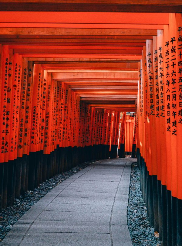 lin-mei-NYyCqdBOKwc-unsplash